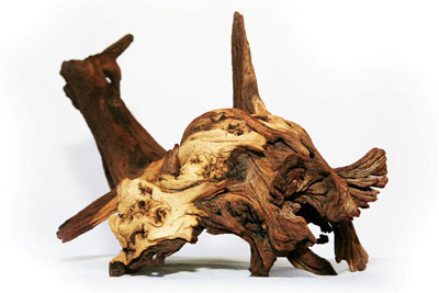 Mopane roots drifwood